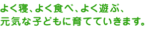よく寝、よく食べ、よく遊ぶ、元気な子どもに育てていきます。